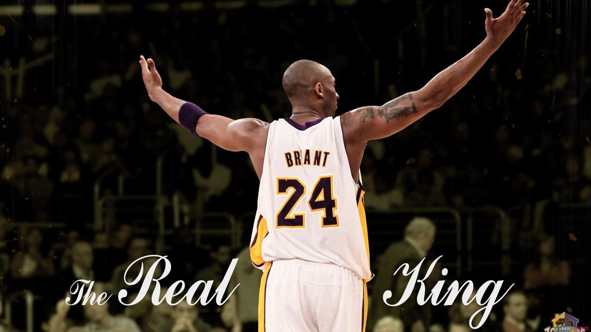 篮网提前终结悬念国王，霍勒迪成为全场焦点